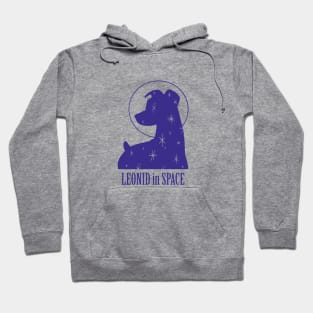 Leonid in Space Hoodie